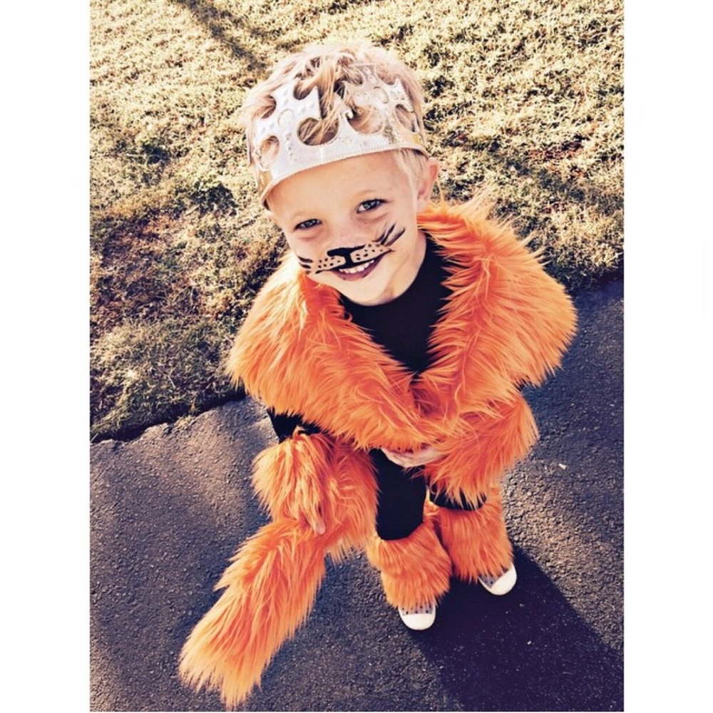 Kids homemade Halloween lion costume 4T
